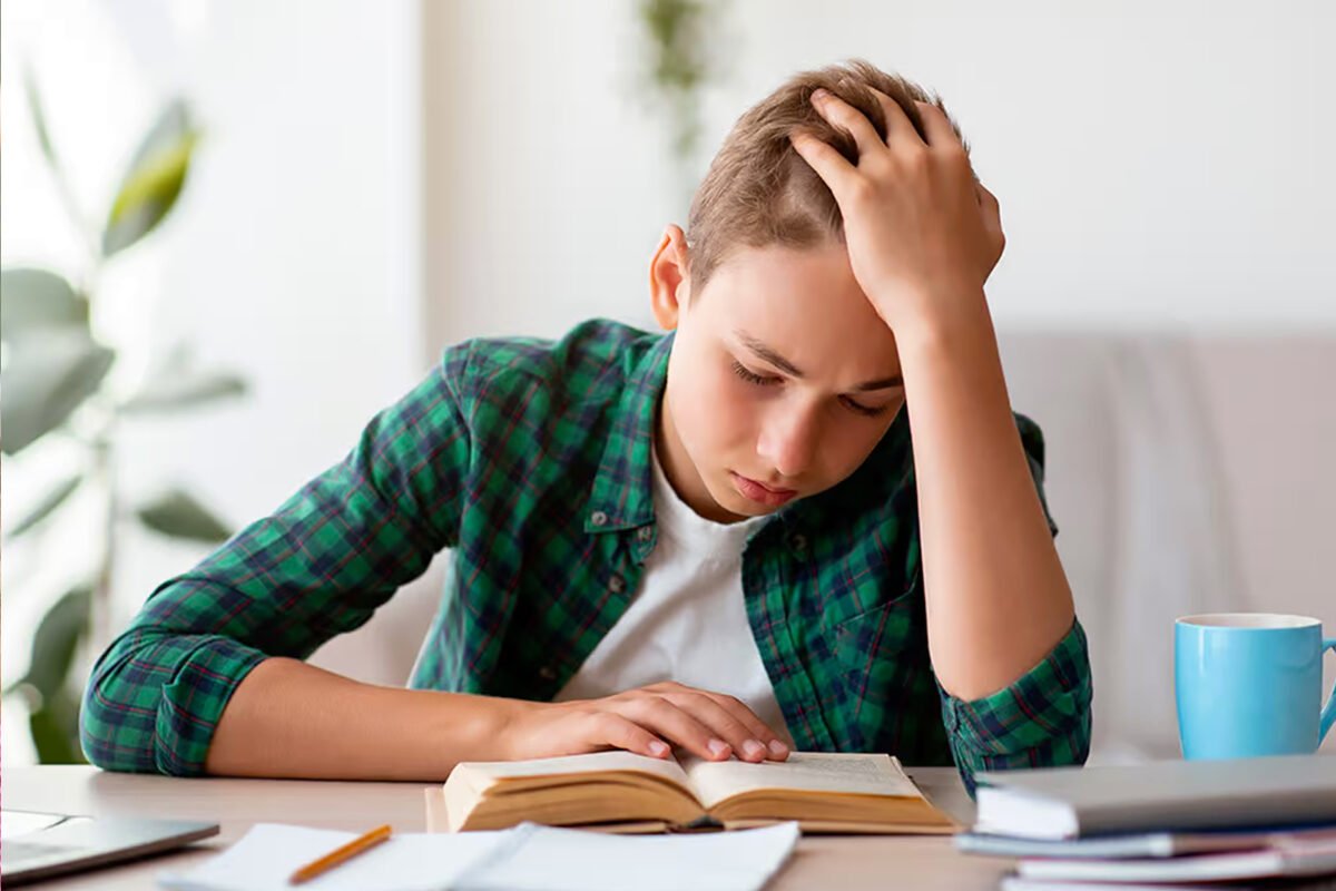 NEAE, necesidades educativas de apoyo escolar